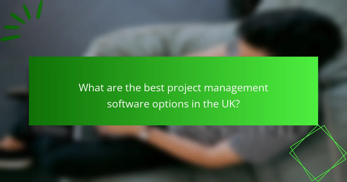 What are the best project management software options in the UK?