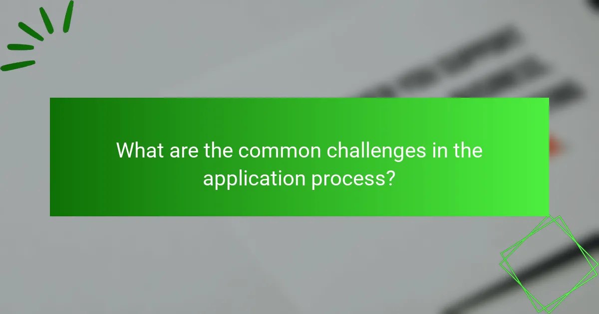 What are the common challenges in the application process?